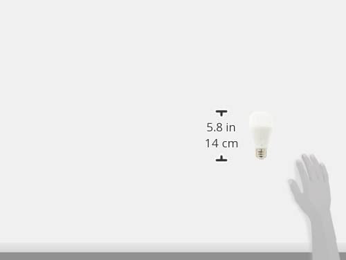 Kasa Smart Light Bulbs, Full Color Changing Dimmable Smart WiFi Bulbs Compatible with Alexa and Google Home, A19, 9W 800 Lumens,2.4Ghz only, No Hub Required, 4 Count (Pack of 1), Multicolor (KL125P4)